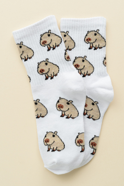 fe4457bf-0ff8-434d-991b-a715d24e8c44